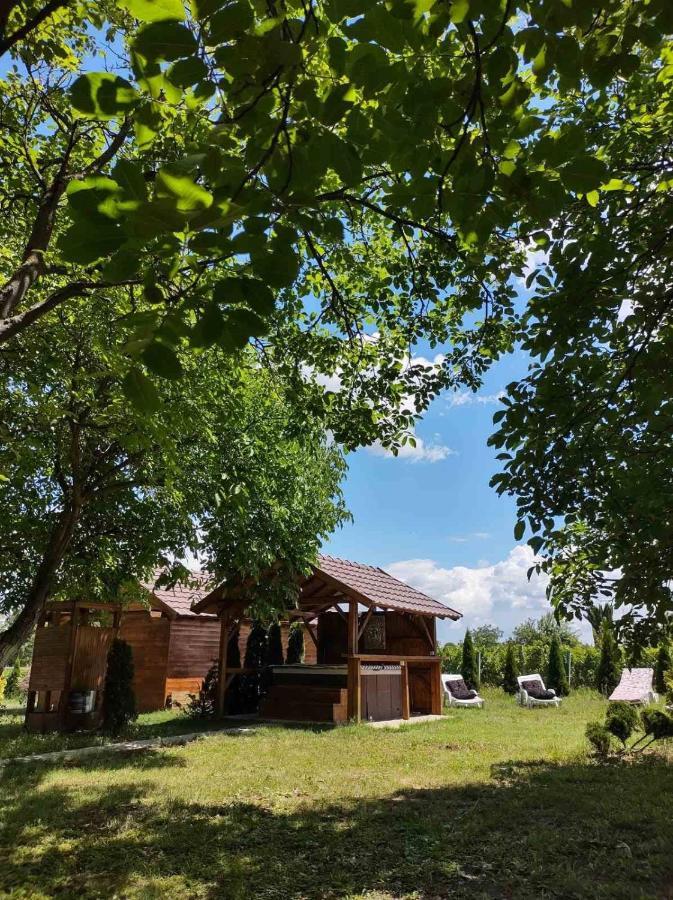 Вилла Brvnara Aurora Vista Velika Remeta Экстерьер фото